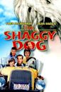 The Shaggy Dog (1959 film)