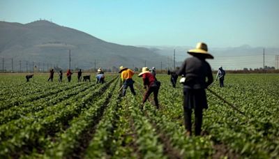 Extreme heat is causing billions in damages that insurers won’t cover