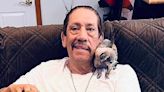 Danny Trejo Mourns ‘Funny’ Chihuahua: Dixie ‘Ruled the House’ Before She Died at Age 16