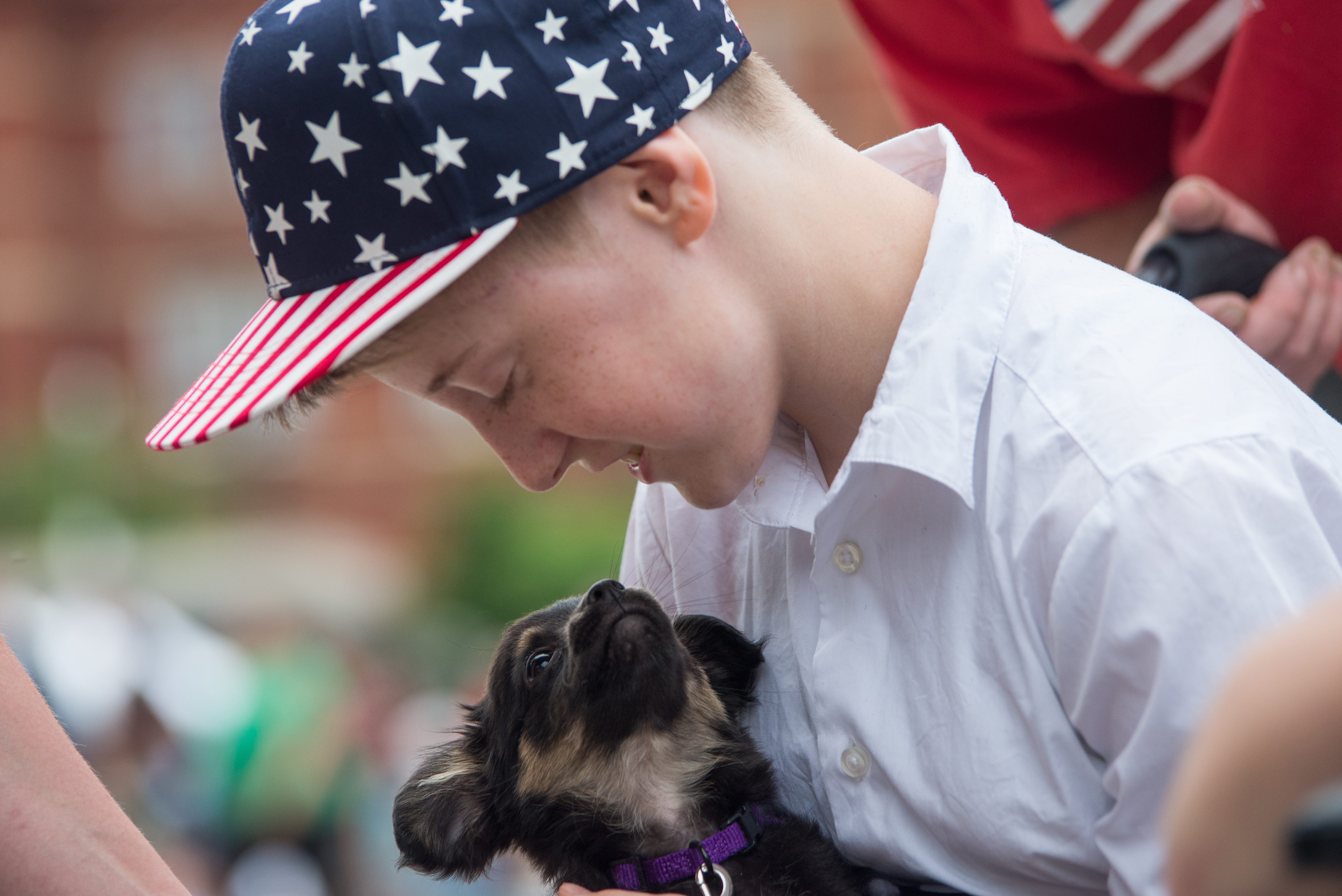 Veterinarian urges dog lovers: Celebrate July 4 without fireworks | Opinion