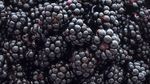 10 Blackberry Recipes: What To Make With All Those Blackberries You've Got in Your Fridge