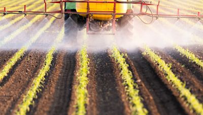 Lei dos pesticidas: derrubada parcial de vetos é boa para o agro e o Brasil | Agro Estadão