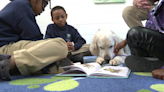 Meet the golden retriever helping Richmond first graders learn to read