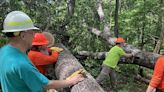 Storms do widespread damage on Benton MacKaye Trail in Tennessee and Georgia | Chattanooga Times Free Press