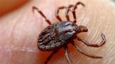 CONSUMER REPORTS: The lone star tick is spreading
