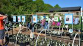 UPDATE: Lower Columbia School Gardens to host plant sale