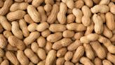 Peanut allergy patch for toddlers shows promise, study finds