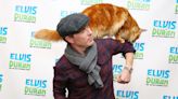 Bobby Flay Showered With Love as He Mourns the Loss of His 'Truly Special' Cat