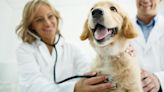 27 de abril, Día Mundial del Veterinario 2024