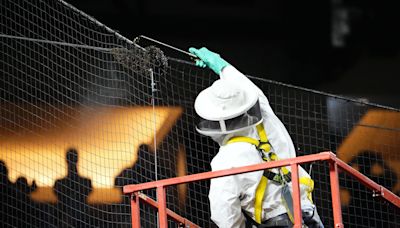 The Dodgers-Diamondbacks Beekeeper Is Getting His Own Topps Card