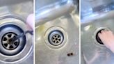 Mom unscrews kitchen sink drain and makes ‘gross’ discovery: ‘Now I know where the stink was coming from’