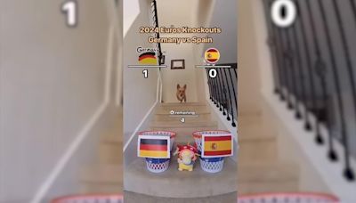 Furry vaticina un 2 a 3 para España en cuartos de final contra Alemania, la anfitriona - MarcaTV