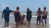 Acto heroico: Hombre salva a su esposa de tiburón en Isla del Padre, Texas