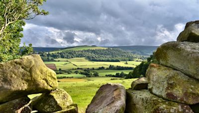 Plans to build new forest outside of Harrogate take first step