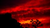 Going to Joshua Tree to watch the Perseids meteor shower? Get ready to see a crowd