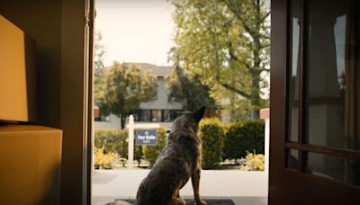 “Bluey ”Episode About Moving Inspires Heartwarming Zillow Ad from Ryan Reynolds’ Production Company: WATCH