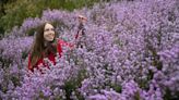 National Trust promises ‘incredible’ show of blossom despite cold snap and snow