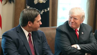 What Did Ron DeSantis and Donald Trump Talk About in That Meeting?