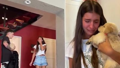 “Después de tanto llanto, ella es feliz”: le regaló un cachorro a su novia y la reacción conmovió en TikTok