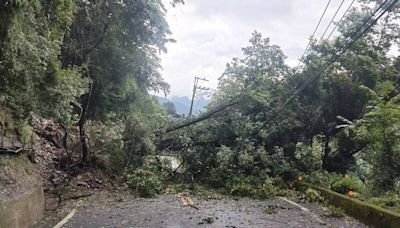 台中山區連日降雨 中橫75.7公里路樹倒塌