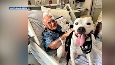Dog saves 86-year-old owner after naked man attacks him outside home, family says
