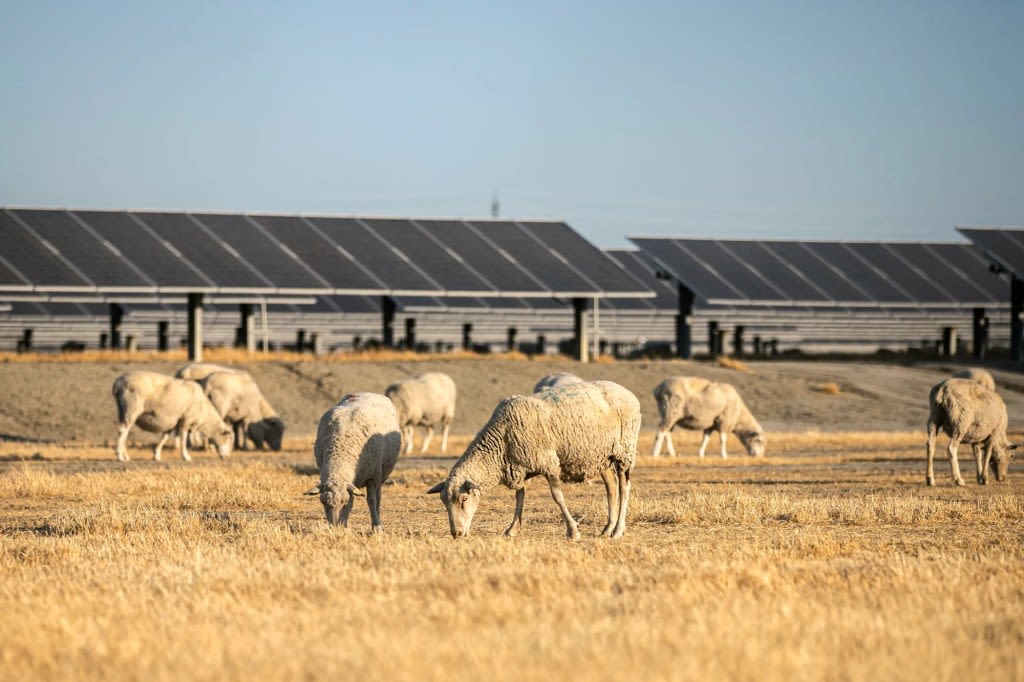 Walters: As California cracks down on groundwater, what about the fallowed farmland?