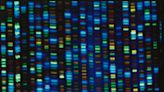 People of African ancestry are poorly represented in genetic studies. A new effort would change that