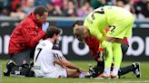 Swansea City suffer Joe Allen and Przemyslaw Placheta injury blows