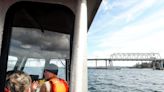 A $1.6-million test to help steelhead navigate the Hood Canal Bridge