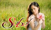 Sabel (TV series)