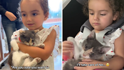 Sick cat finds forever home after three-year-old girl vows to care for her