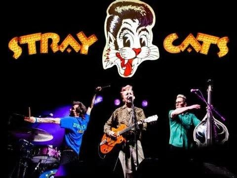 STRAY CATS SALDRÁN DE GIRA USA ESTE VERANO