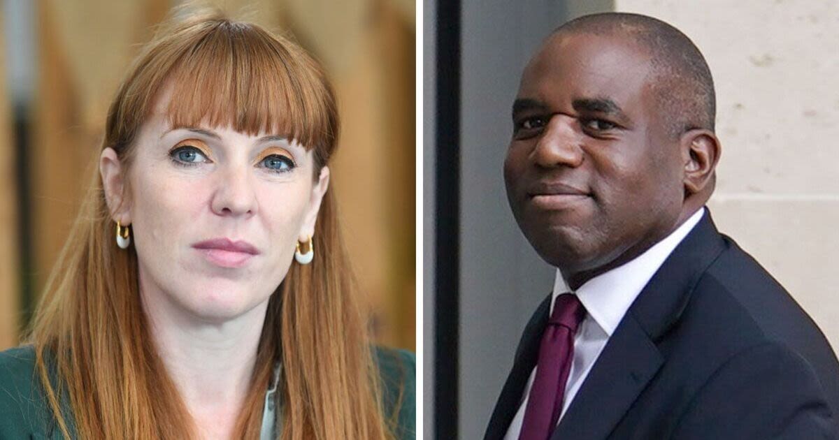 David Lammy flies on private jet Angela Rayner blasted Tories for using