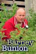 Barney Bunion