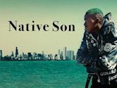 Native Son (2019 film)