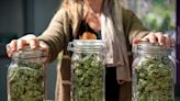 Bills regulating medical marijuana ‘pop-up’ clinics pass House committee