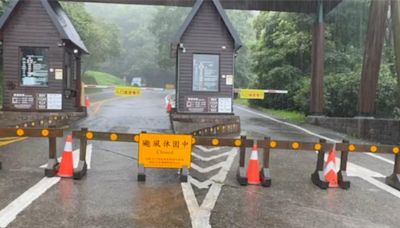 影》凱米帶豪雨「用倒的」 宜蘭太平山累積雨量創全台之最 - 生活