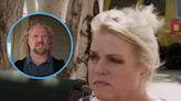 Sister Wives’ Janelle Brown Hosts Family Dinner in Flagstaff After Kody Brown Split