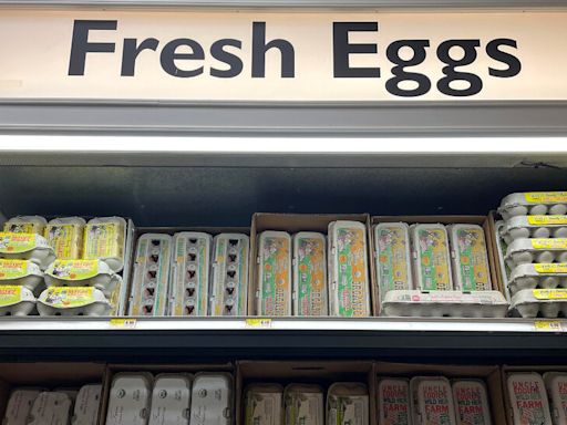 Salmonella Outbreak Prompts Egg Recall by Wisconsin Farm