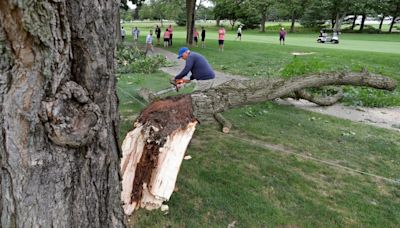 Large tree limb falls, strikes spectator at Firestone Country Club before Kaulig Companies Championship