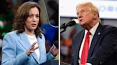 Harris, Trump locked in tight race in 7 swing states: Poll