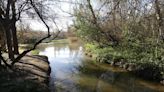 Los vecinos de San Marcelino denuncian falta de cuidado del Parque de la Rambleta que sigue esperando la segunda fase