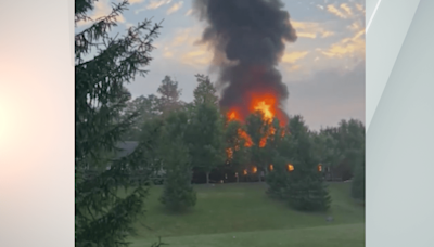 Fire destroys Wayne County cabin