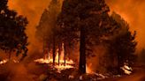 How AI could become an unlikely ally in the fight against forest fires