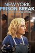 New York Prison Break the Seduction of Joyce Mitchell