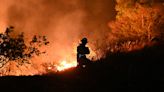 Brigadas y bomberos combaten 23 incendios forestales activos en todo el país