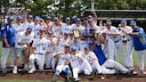 Photos: Hauppauge wins Class AA baseball title