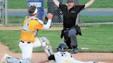 Baseball roundup: Blaze rally to win against Rosemount, AV