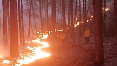 Controlan gran incendio en Balleza; quedan 10 más en el estado