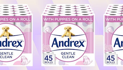 Popular Andrex toilet roll bulk buy shoppers always repurchase now reduced